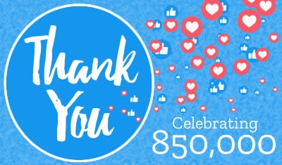 Social Media Management